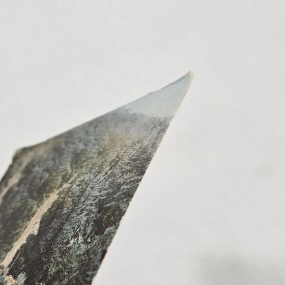 Antique 1920s Post Card Of Mount Lowe Roat To Alpine Tavern California LA - Picture 5 of 7